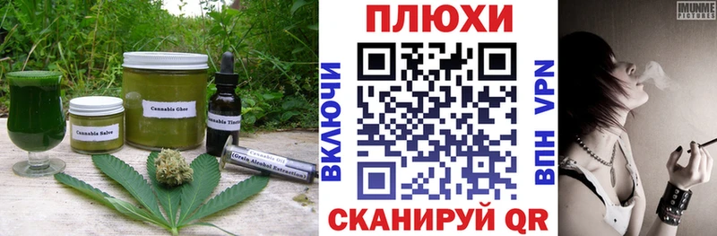 купить наркоту  Ессентукская  нарко площадка состав  Cannafood конопля 