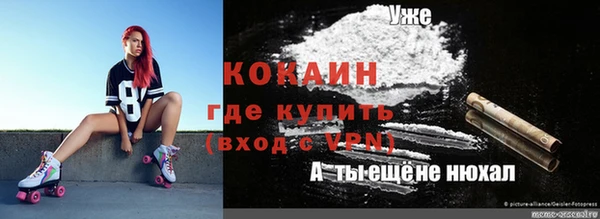 метадон Алексин