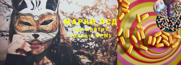 эйфоретик Аркадак