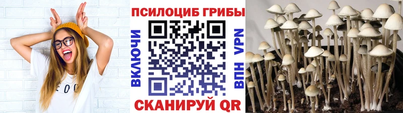 закладка Ессентукская Псилоцибиновые грибы мухоморы